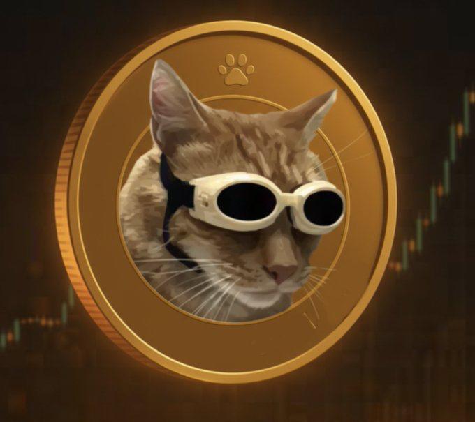 Gallery image of Gus 5